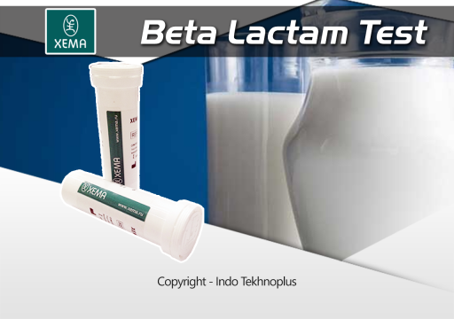 Betalactam Test 