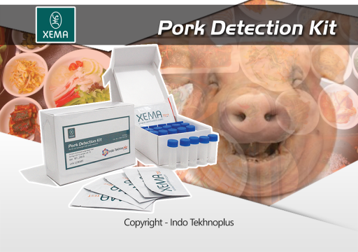 Alat Uji Kandungan Babi Pada Makanan/Daging - Pork Detection Kit Blood & Fat 100 Test