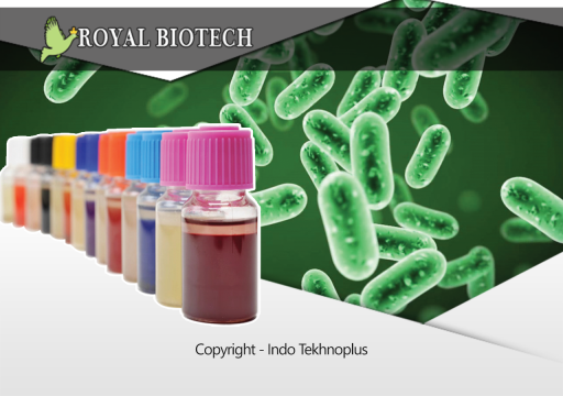 Entero Bacteriaceae Test (40 test)
