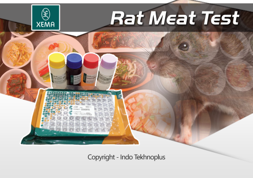 Alat Uji Kandungan Daging Tikus pada Makanan / Daging (RAT meat test kit (elisa)