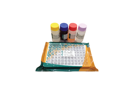 Alat Uji Kandungan Daging Tikus pada Makanan / Daging (RAT meat test kit (elisa)